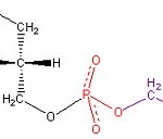 Phosphatidylserin Strukturformel