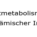 Fettverbrennung glykämischer Index