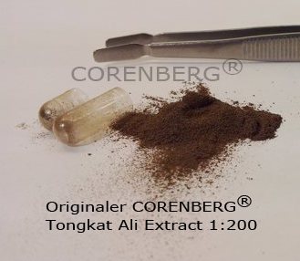 CORENBERG® Tongkat Ali Extract 1:200