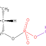 Strukturformel von Phosphatidylserin
